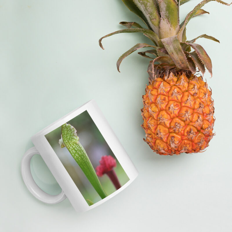 Carnie Mug 4 - Image 4