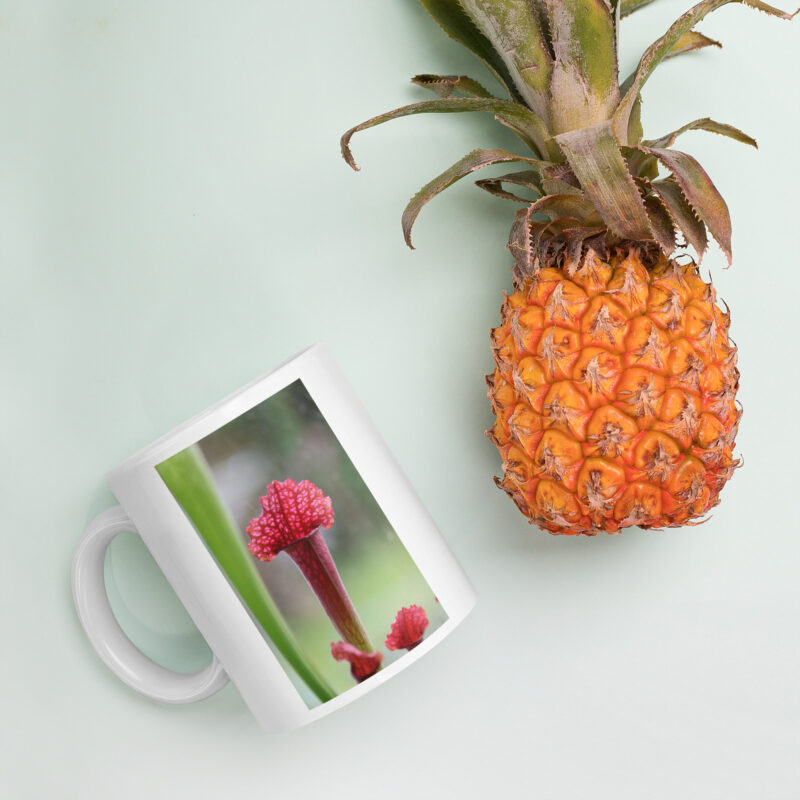 Carnie Mug 3 - Image 4