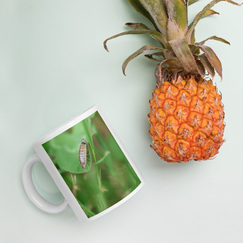 Woodlouse Mug - Image 4