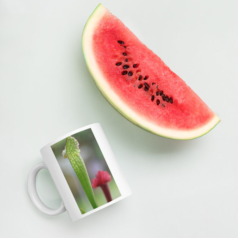 Carnie Mug 4 - Image 5