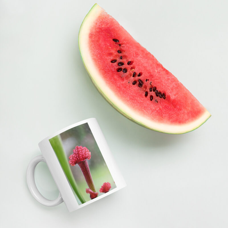 Carnie Mug 3 - Image 5