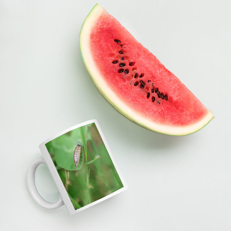 Woodlouse Mug - Image 5