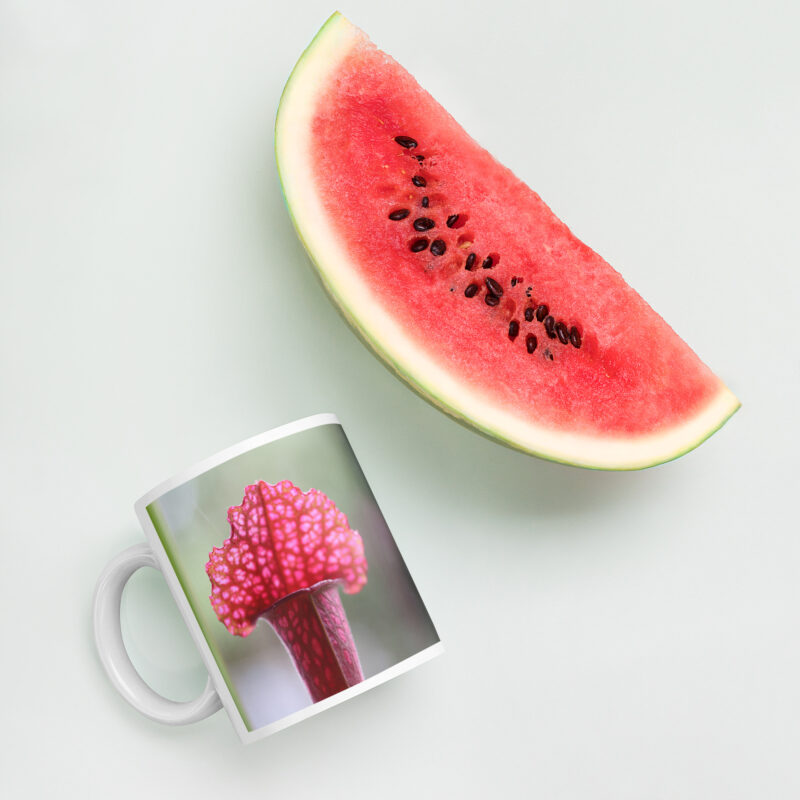 Carnie Mug 2 - Image 5