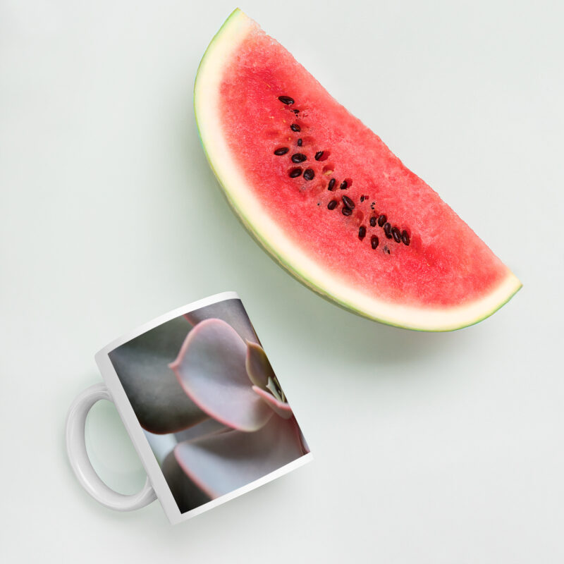 Succulent Mug - Image 5