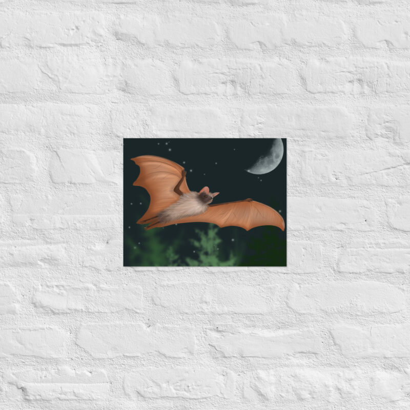 Fruit bat Poster - Image 4