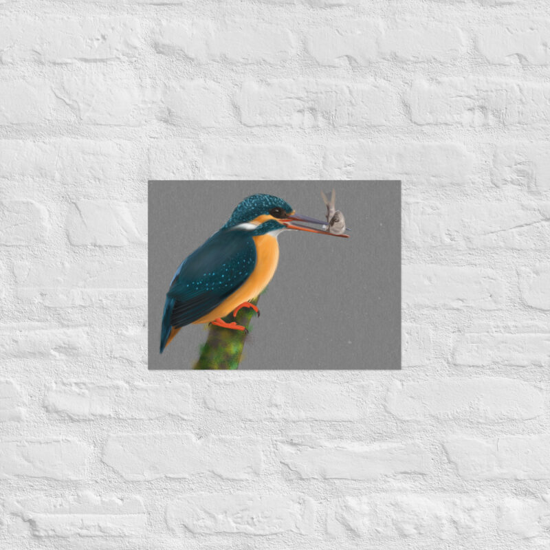 Kingfisher Poster - Image 5