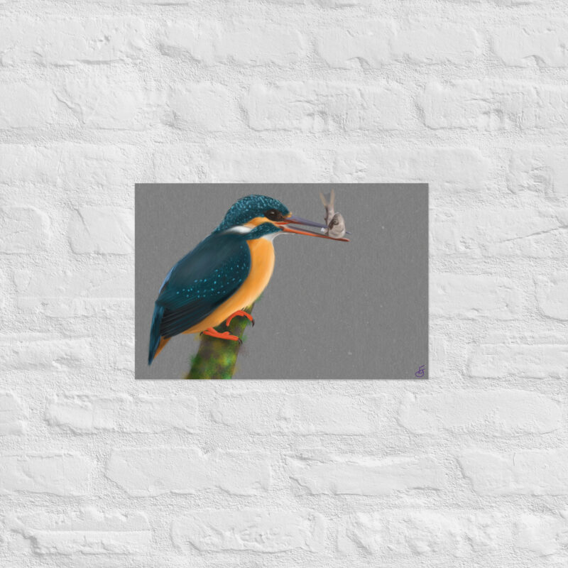 Kingfisher Poster - Image 6