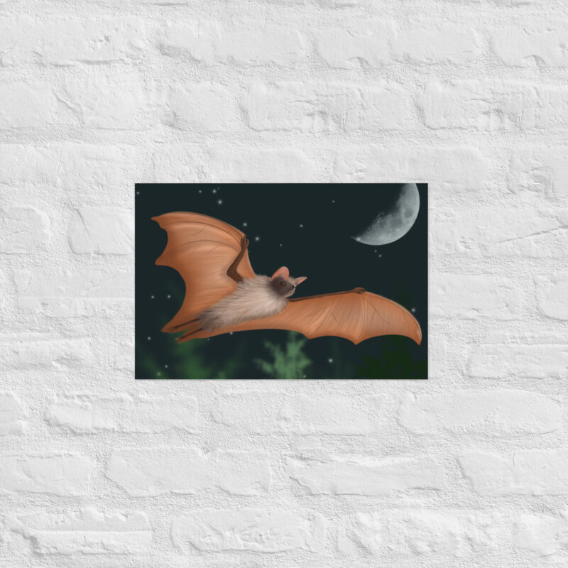 Fruit bat Poster - Image 6