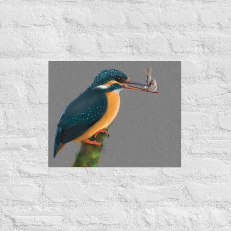 Kingfisher Poster