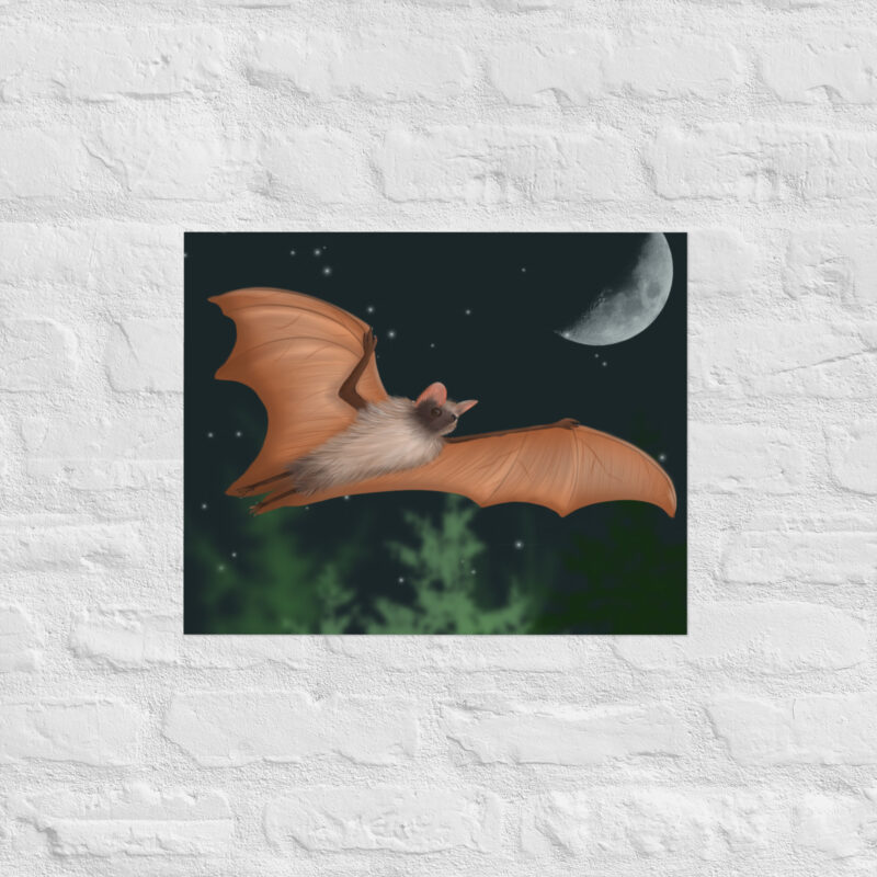 Fruit bat Poster