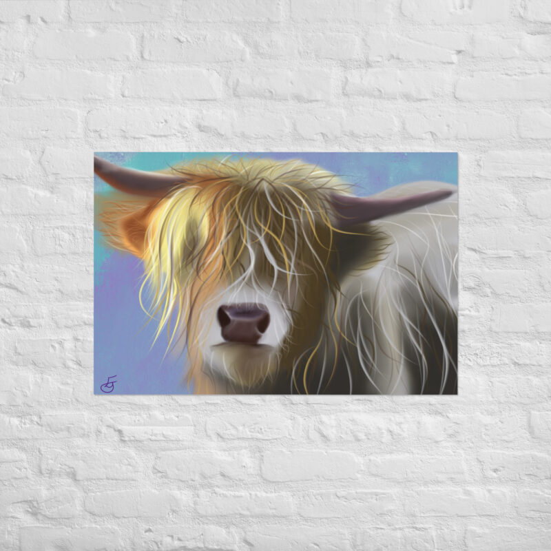 Highland cow Poster