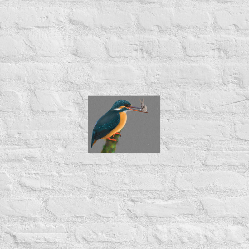 Kingfisher Poster - Image 9