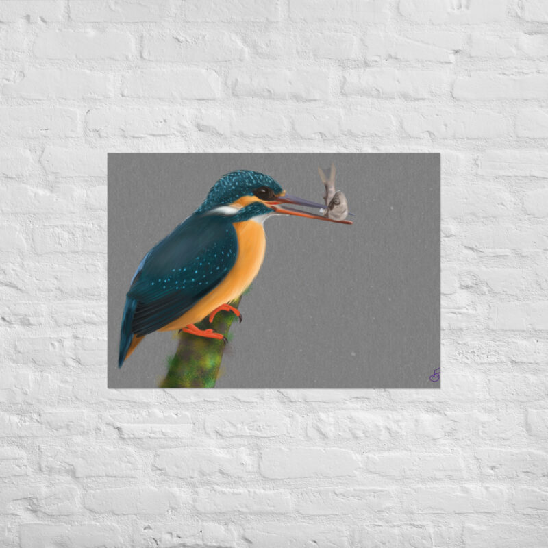 Kingfisher Poster - Image 2