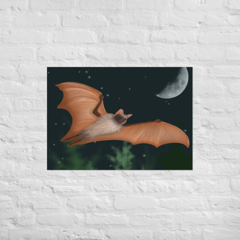 Fruit bat Poster - Image 2