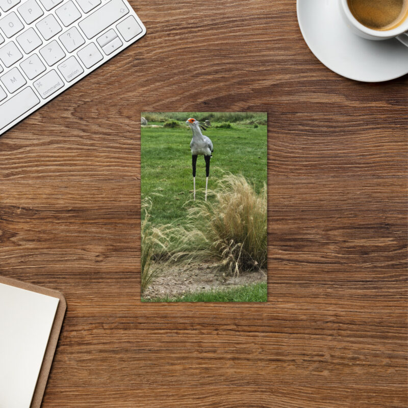 Secretary Bird Greeting card - Image 2