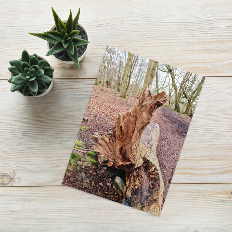 Tree stump Greeting card