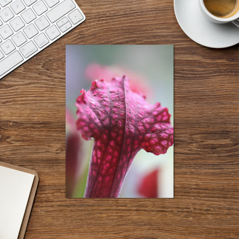 Carnie Plant Greeting card