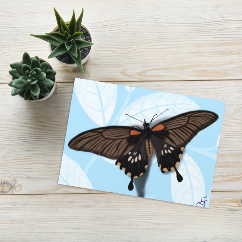 Butterfly Greeting card