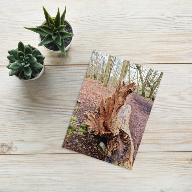 Tree stump Greeting card - Image 5