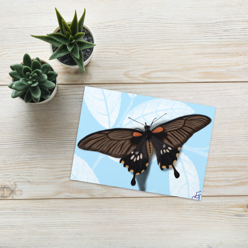 Butterfly Greeting card - Image 5