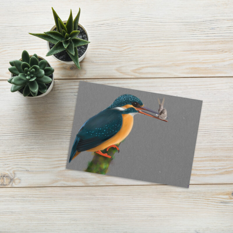 Kingfisher Greeting card