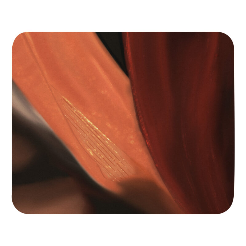 Bird of paradise Mouse pad