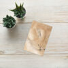 Lioness Sleeping Greeting card - Image 2
