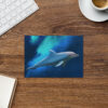 Dolphin Greeting card