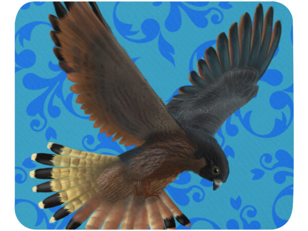 Peregrine falcon Mouse pad