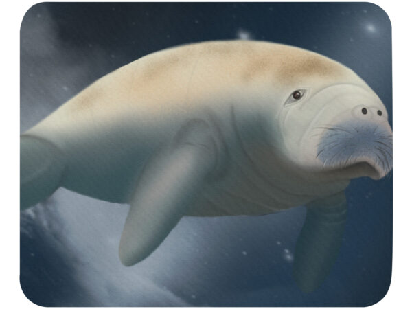 Manatee Mouse pad