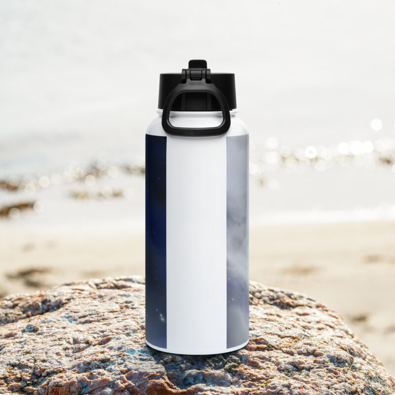 Killer whale Stainless steel water bottle with a straw lid - Image 4