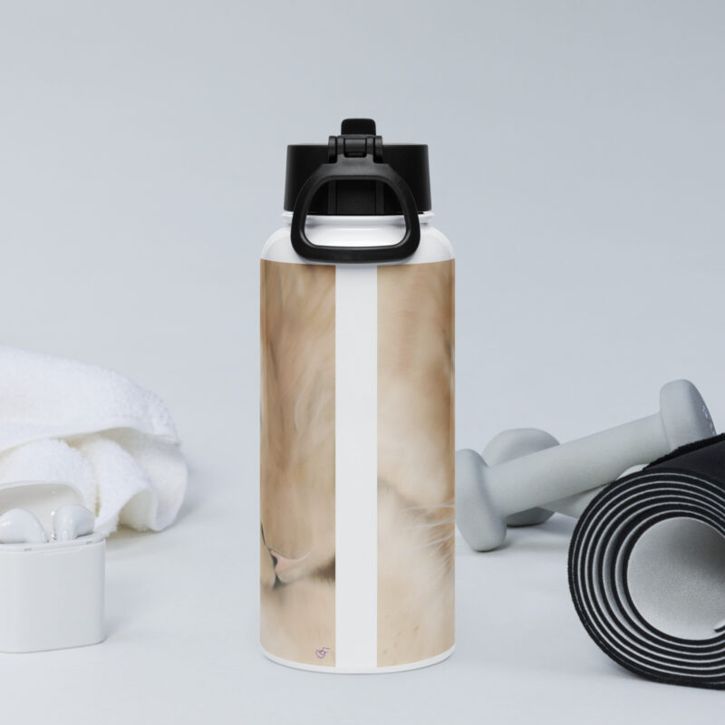 Lioness Sleeping Stainless steel water bottle with a straw lid - Image 4