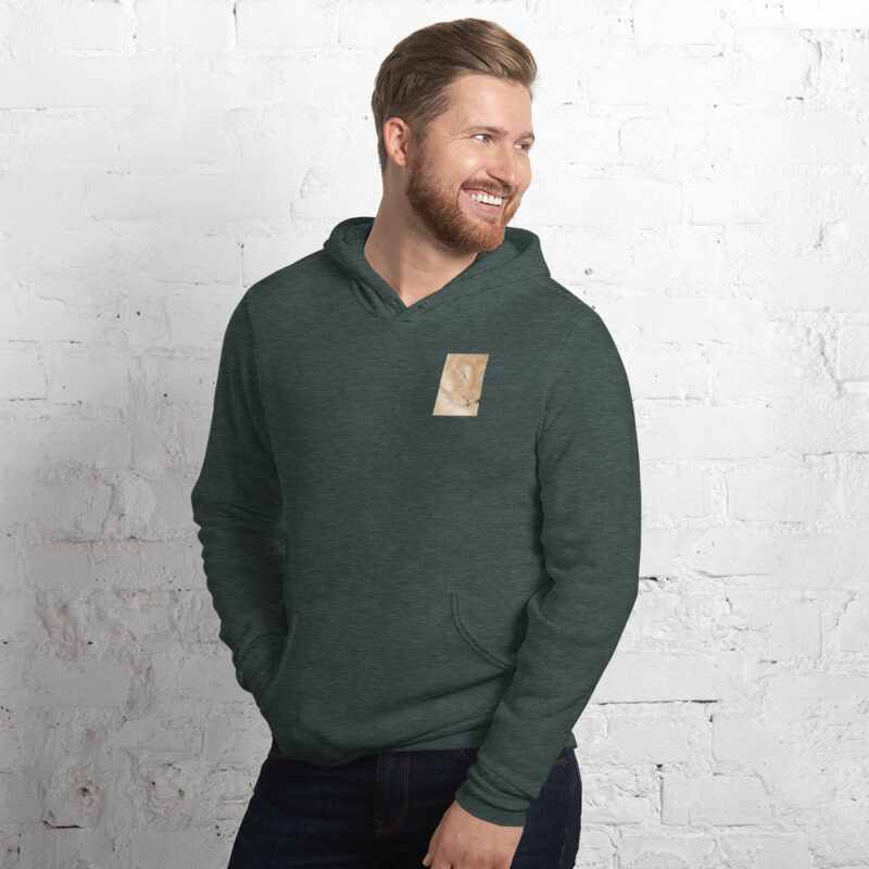 Lioness Sleeping Unisex hoodie - Image 7