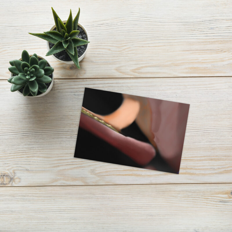 Bird of paradise Greeting card - Image 2