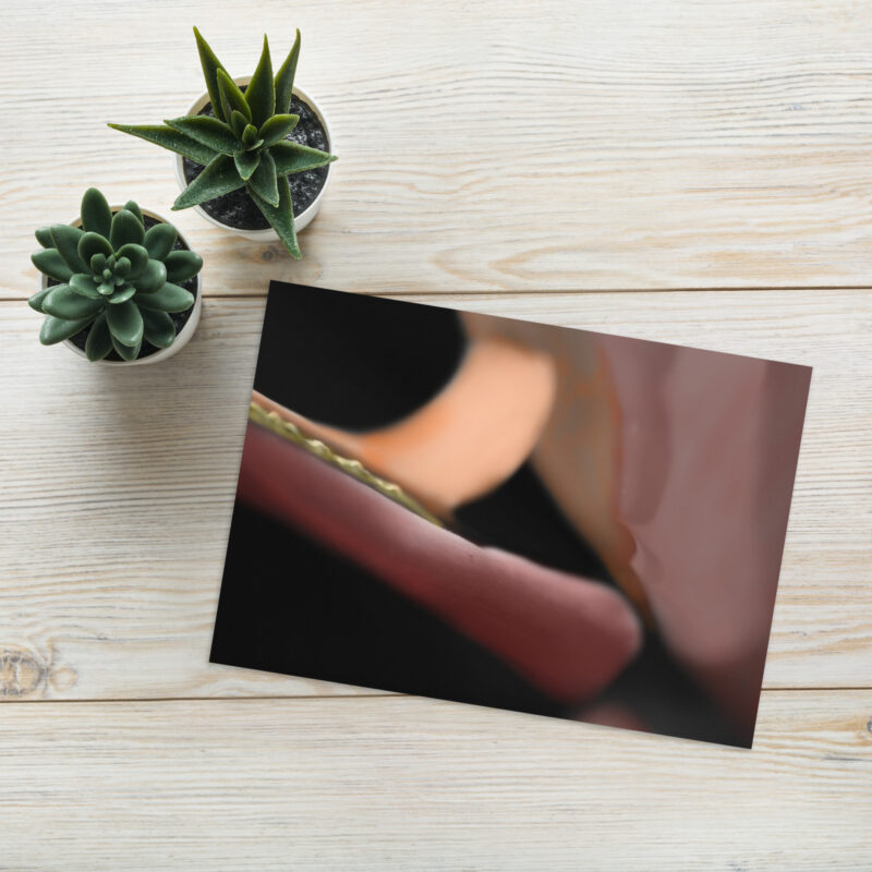 Bird of paradise Greeting card