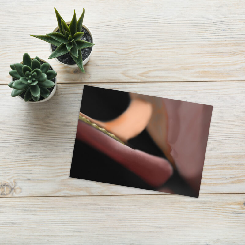 Bird of paradise Greeting card - Image 5